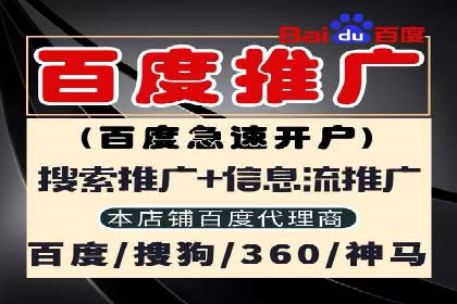 经典案例：专业SEM托管如何实现ROI最大化